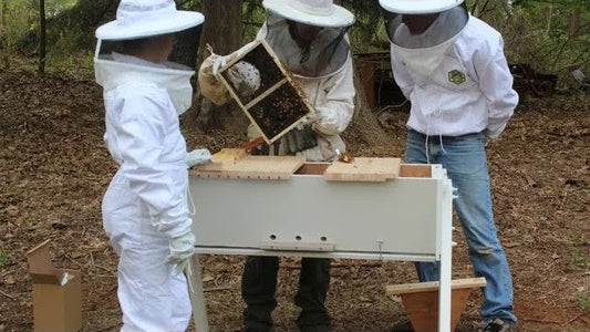 Follow – up on the Top Bar Bee Hive Build