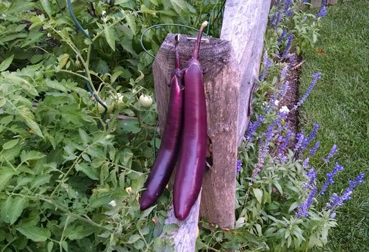 Recipe Thursdays: Easy Eggplant Caponata