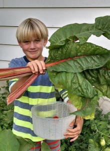 William (8) with a bundle of mega-chard from the garden