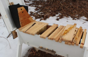 Opening the hive after the long cold winter.  