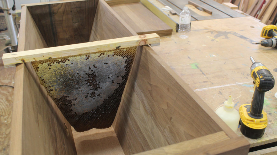 How the bars fit in the body of the hive