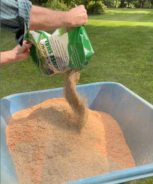 Lawn Care Tip – Pre-Germinating Grass Seed