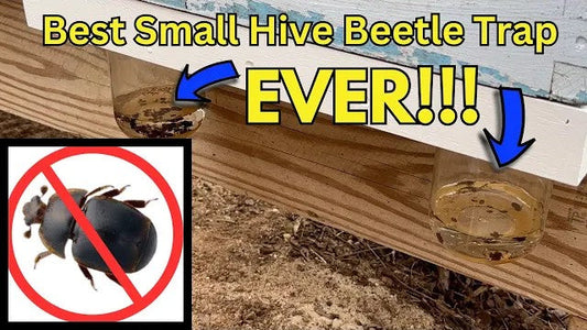 Build Bottom Boards with Hive Beetle Traps