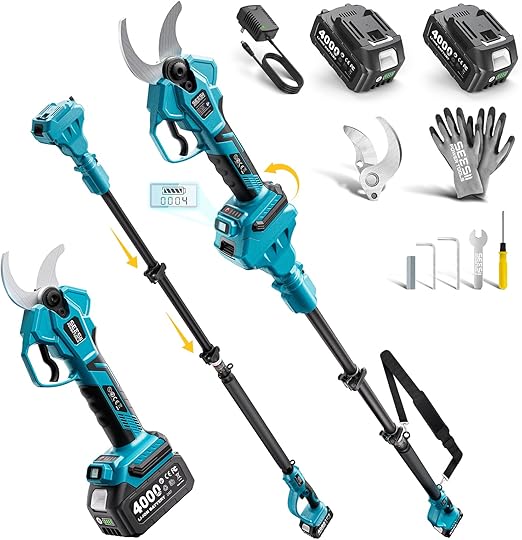 SEESII Pruner