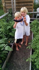 James (6) with William with the first pick of egglant and tomatoes 